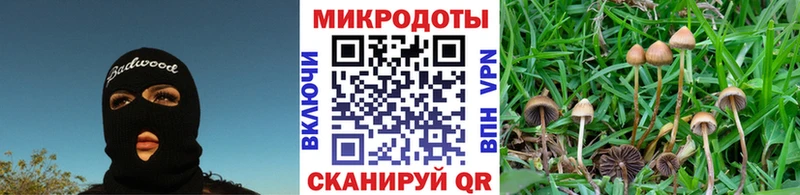 Галлюциногенные грибы прущие грибы  Челябинск 